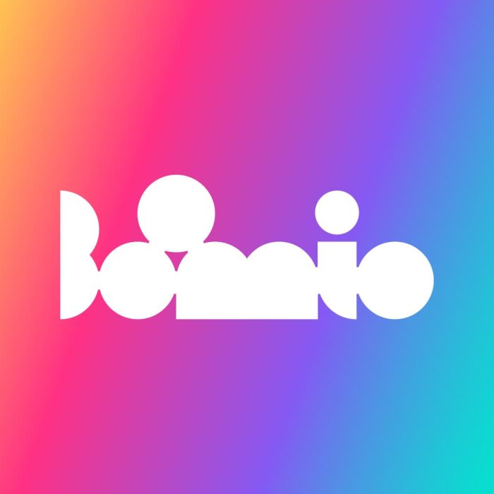 Boomio logotipo kūrimas